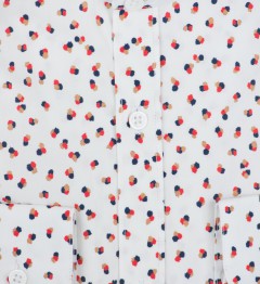 Chemise cintrée VIC