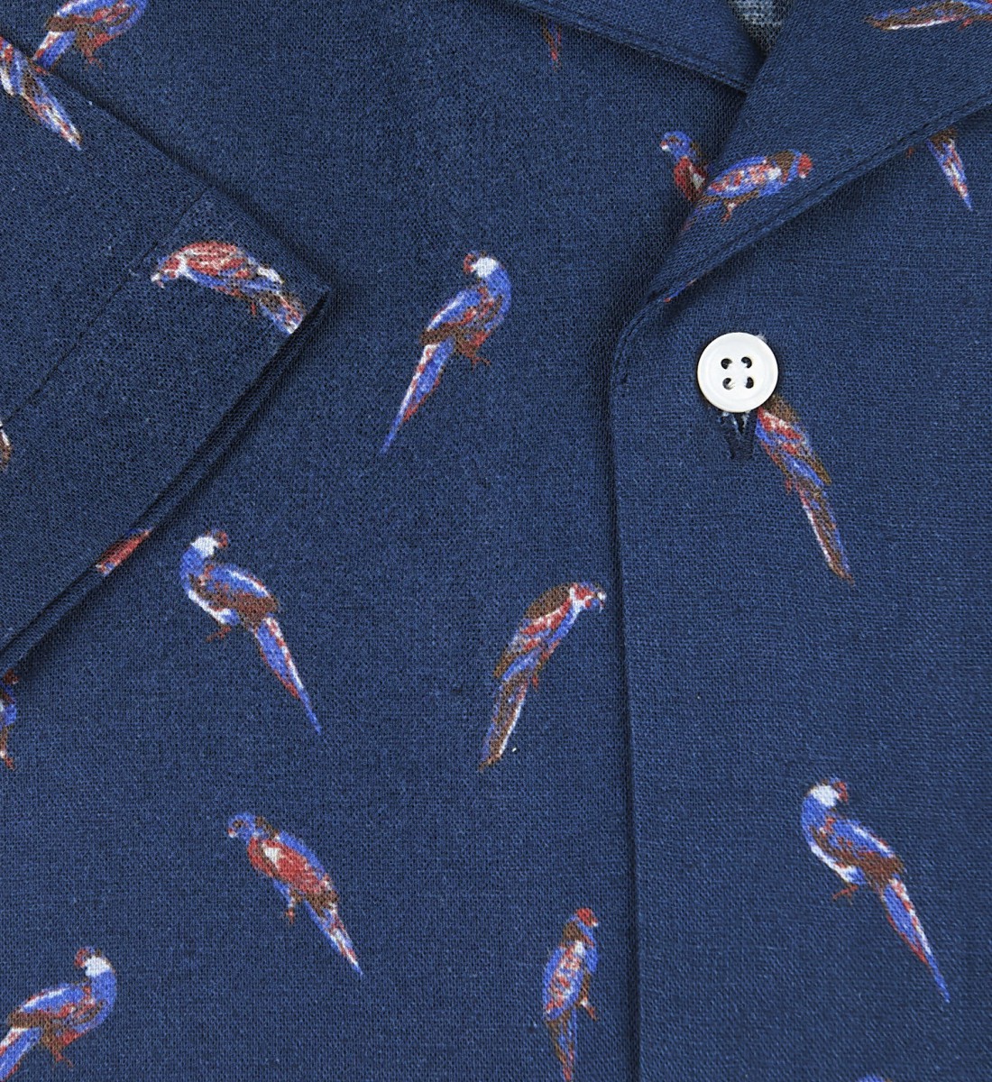 Chemise coupe cintrée manches courtes BIRDY