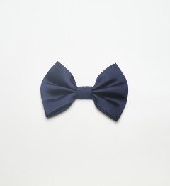 Noeud papillon marine en soie