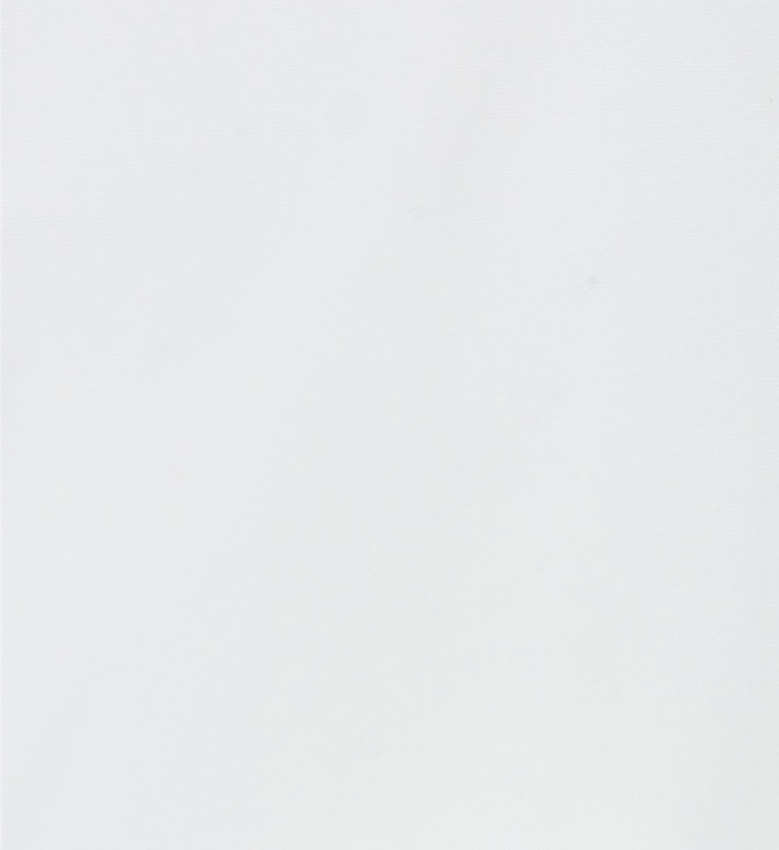 Chemise cintrée petit col BLANC